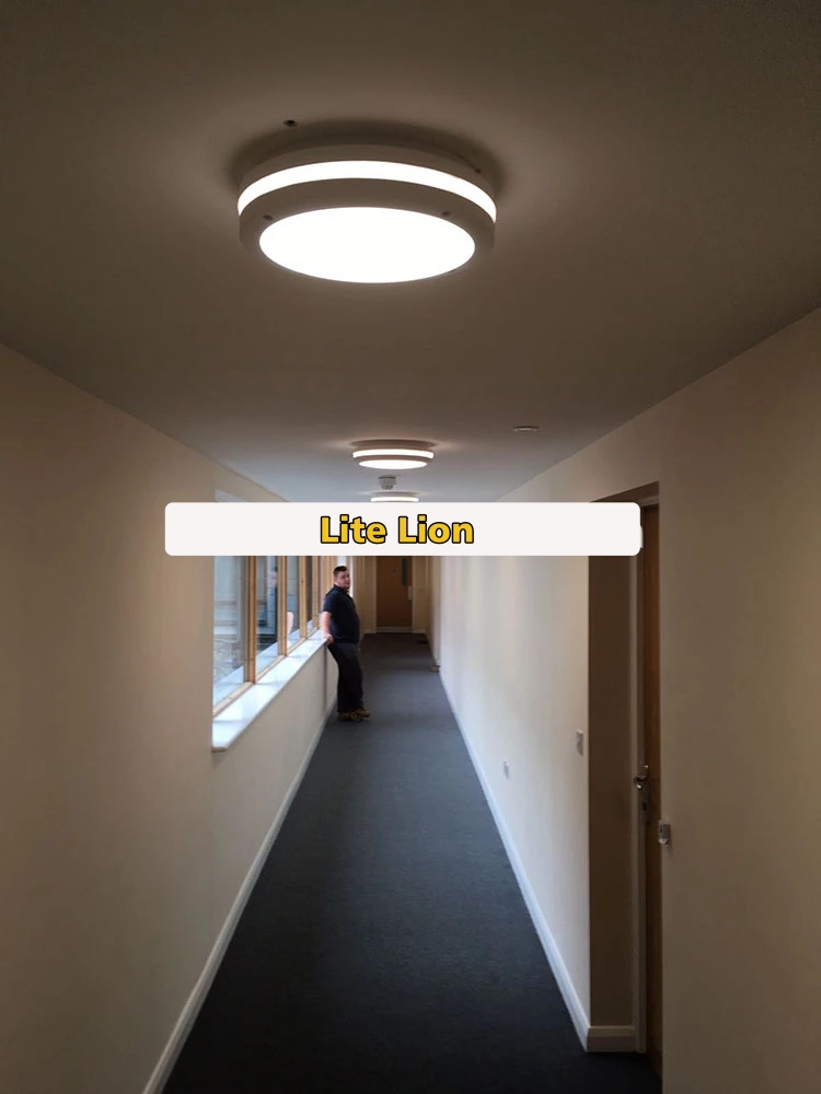  LED Light 18-24 W