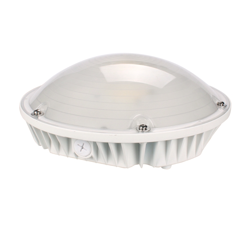 25-65 W LED light